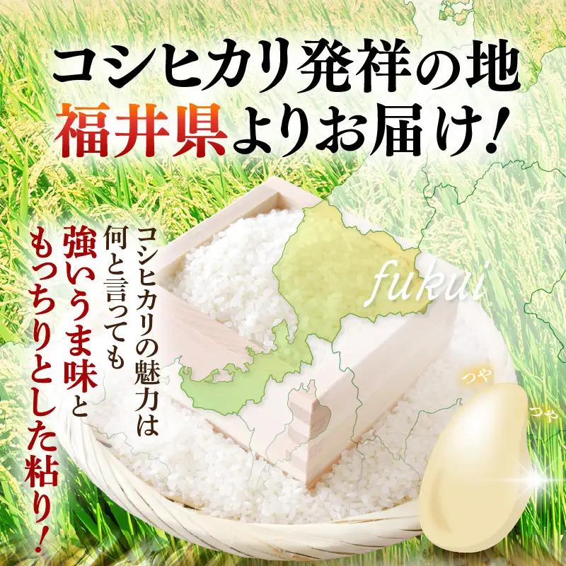 令和7年産  5kg 精米 コシヒカリ 福井県産《14日以内に出荷予定》 [e66-a015]