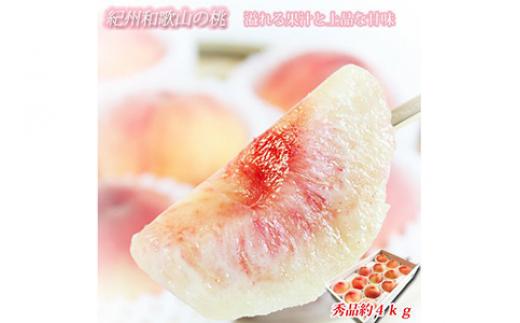 紀州和歌山産の桃 約4kg 化粧箱入 ※2025年6月下旬～8月上旬頃に順次発送予定