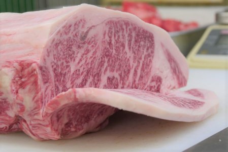 飛騨市産 5等級飛騨牛 焼肉用 500g ギフト お中元 お歳暮[Q353]