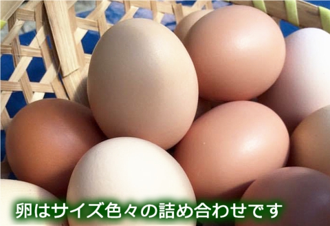 卵 平飼い 有精卵 ふぁーむbuffo 30個
