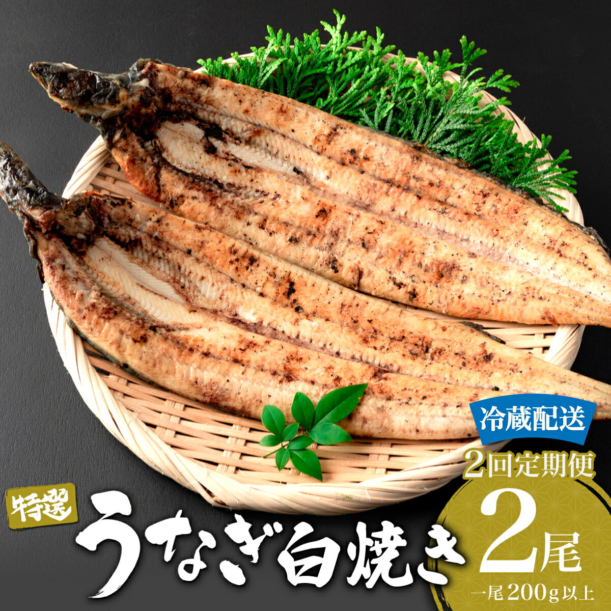 【ふるさと納税】＜選べる配送開始月／定期便・全2回＞ うなぎ白焼き 計800g (200g×2尾×2回) 特選 肉厚 冷蔵／うなぎ 鰻 ウナギ 蒲焼 蒲焼き 土用 特選 冷蔵配送 肉厚 たれ 国産 ふるさと 鰻丼 鰻重 うな重 うなぎたれ ギフト 贈り物 佐賀 佐賀県 送料無料