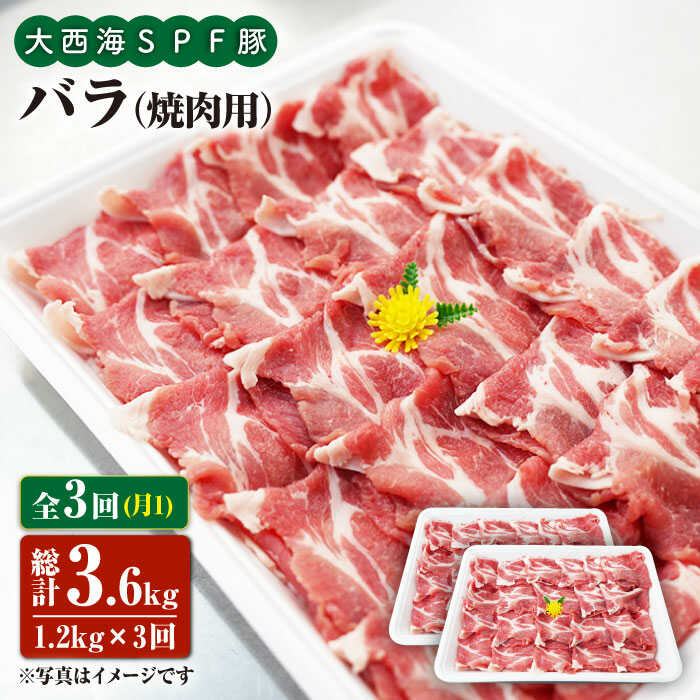 【ふるさと納税】【訳あり】【月1回1.2kg×3回定期便】大西海SPF豚 バラ（焼肉用）＜大西海ファーム＞ [CEK082]