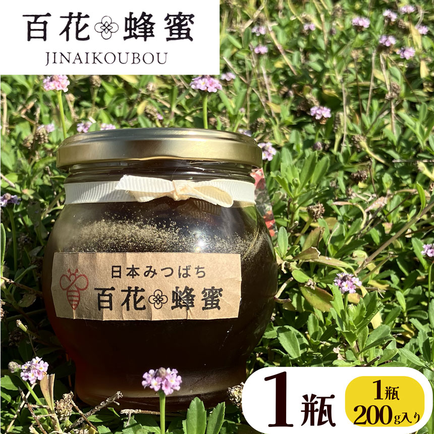 数量限定！　日本ミツバチの百花蜂蜜（1瓶）