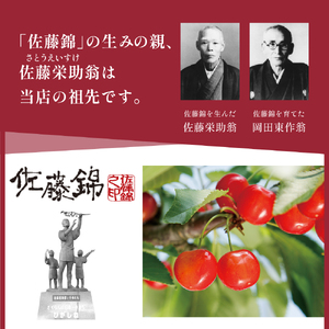 さくらんぼ佐藤錦 100％ ジュース (500ml×3本) 佐藤錦提供 山形県 東根市 hi004-hi029-026　（果物 くだもの さくらんぼ ジュース 500ml 3本 国産 産地直送 お取り