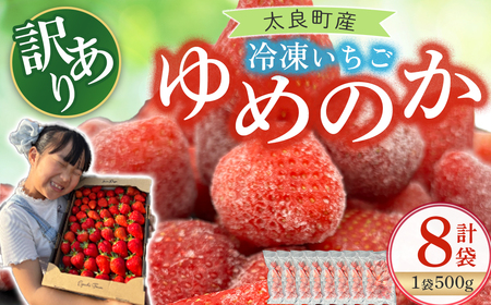 訳あり！太良町産「ゆめのか」冷凍いちご500ｇ×８袋 佐賀県 太良町 OC20