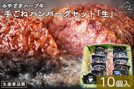 ＜みやざきハーブ牛 手ごねハンバーグ「生」（140g×10個）＞入金確認後、翌月末迄に順次出荷【TVで話題沸騰！】【c458_fw_x4】