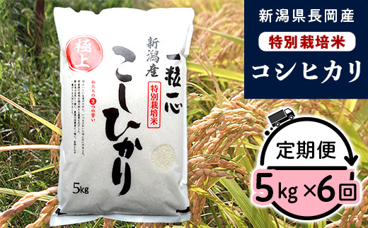 
                  48-7N056【6ヶ月連続お届け】新潟県長岡産特別栽培米コシヒカリ5kg
                