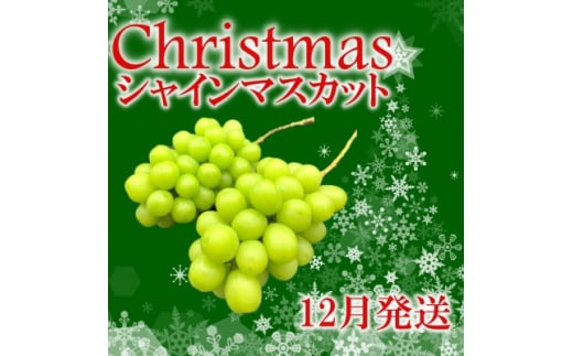 冬季限定!!山梨県山梨市産　クリスマスシャインマスカット　約1kg　2～3房【1468543】