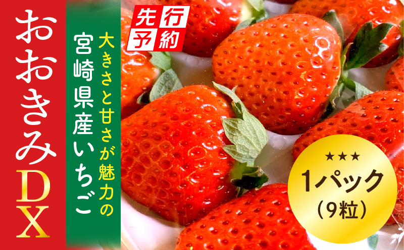 《2025年発送先行予約》【数量・期間限定】宮崎県産いちご「おおきみDX」1パック（9粒）_M260-004