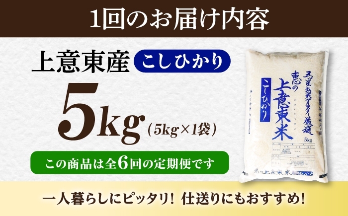 お米 米 コメ 白米 コシヒカリ 人気 美味しい オススメ 新米 
