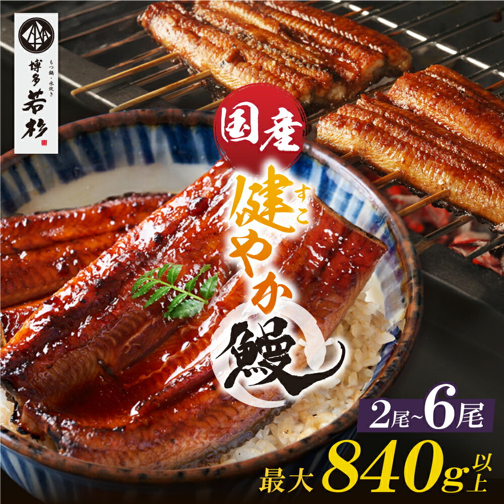 国産うなぎ蒲焼大サイズ2尾（計350g以上）鰻蒲焼用タレ・山椒付 うなぎ生産量日本一鹿児島県産・宮崎県産 K61-71