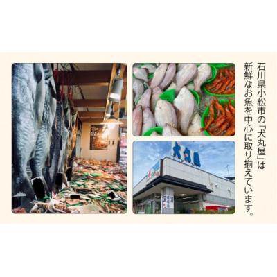 ふるさと納税 小松市 昆布締め3種詰め合わせセット 2人前 魚刺身(車鯛 さわら ひらめ) 刺身昆布締め ※冷凍でお届け |  | 01