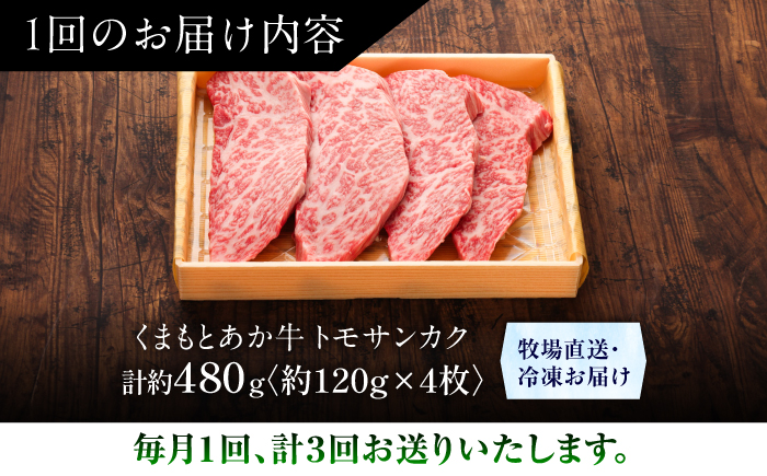 【全3回定期便】【GI認証】くまもとあか牛トモサンカク 約120g×4枚 / 菊陽町 あかうし 熊本県 肉 にく niku ブランド 旨み 【有限会社 三協畜産】 [BHAS078]