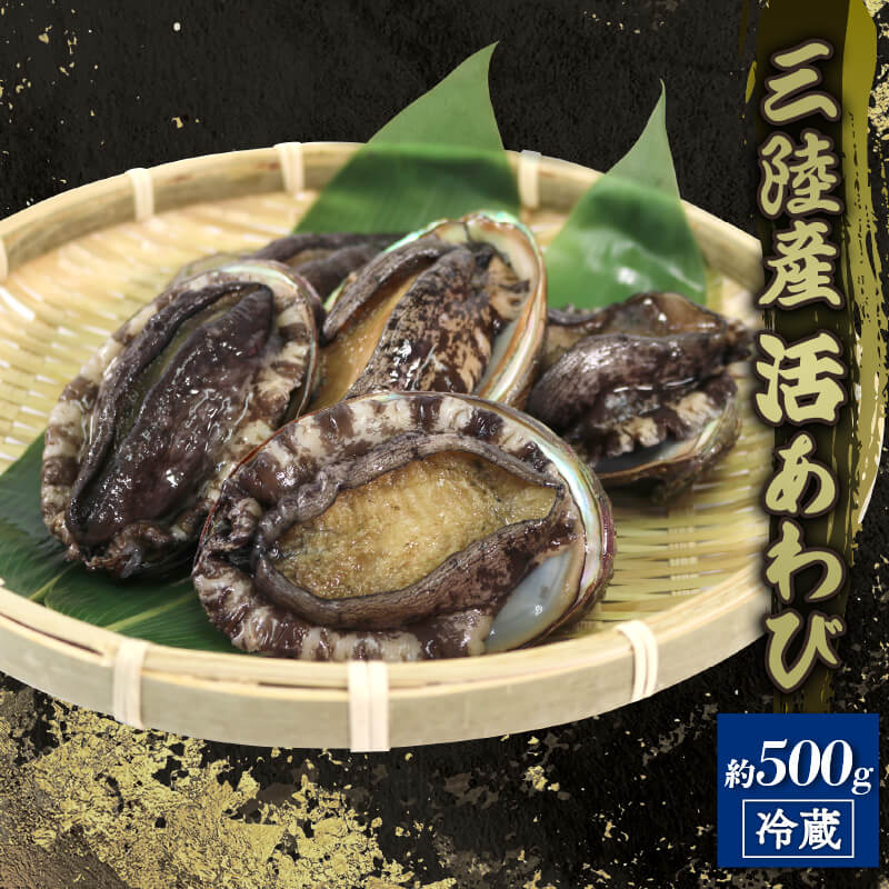 【ふるさと納税】 活エゾアワビ 約500g 冷蔵 鮑 蝦夷あわび 活あわび あわび アワビ 鮑 Abalone ステーキ 正月 お正月 おせち 刺し身 刺身 バーベキュー BBQ ごはん 夕飯 おかず おつまみ 晩酌 米 丼 海産物 海鮮 魚介 魚介類 贈答品 お中元 お歳暮 大船渡 三陸 岩手県 国産