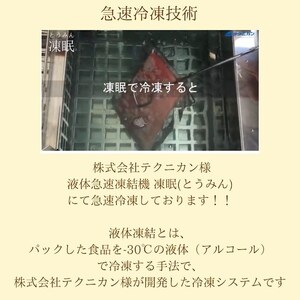 つみれ汁 4個セット 鯖 さば サバ つみれ つみれ汁 夕飯 昼飯 つまみ レトルト お手軽 お祝い 防災 贈答 廣半 銚子港水揚げ 銚子港 銚子加工 凍結 プロ仕様 簡単 魚 魚介 便利 料理 美味