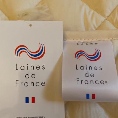 ふるさと納税 宇治市 PREMIUM　WOOL　四隅のゴムなしでマットレスに置くだけでずれないベッドパッド(シングル) |  | 03