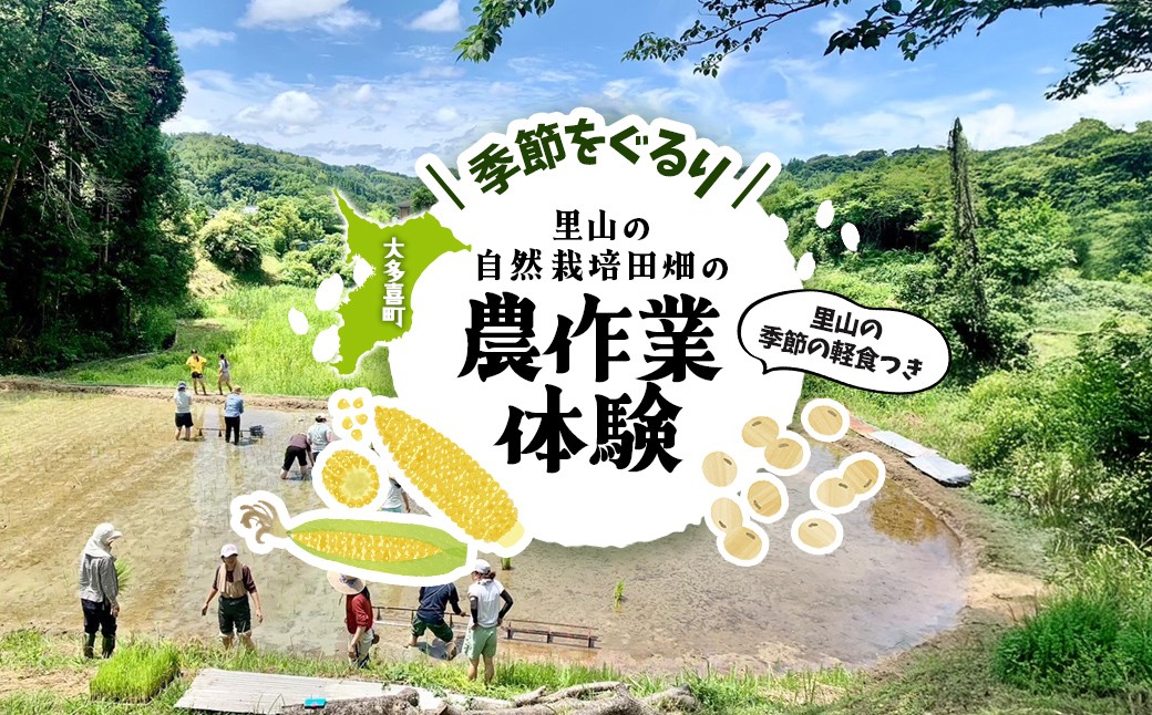 
                  W03508 季節をぐるり　里山の無農薬・無肥料栽培田畑の農作業体験　里山の季節の軽食つき ふるさと納税 農作業 農作物 体験 田んぼ 自然 自然体験 年3回 千葉県 大多喜町
                