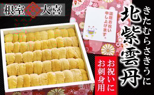 
            E-73003 蝦夷むらさきうに並べ詰め600g×1折[7月中旬以降発送]
          