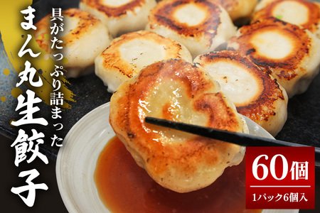まん丸生餃子冷凍30g×60個入り（1pac 6個入り） おつまみ 【餃子】【ho1439】