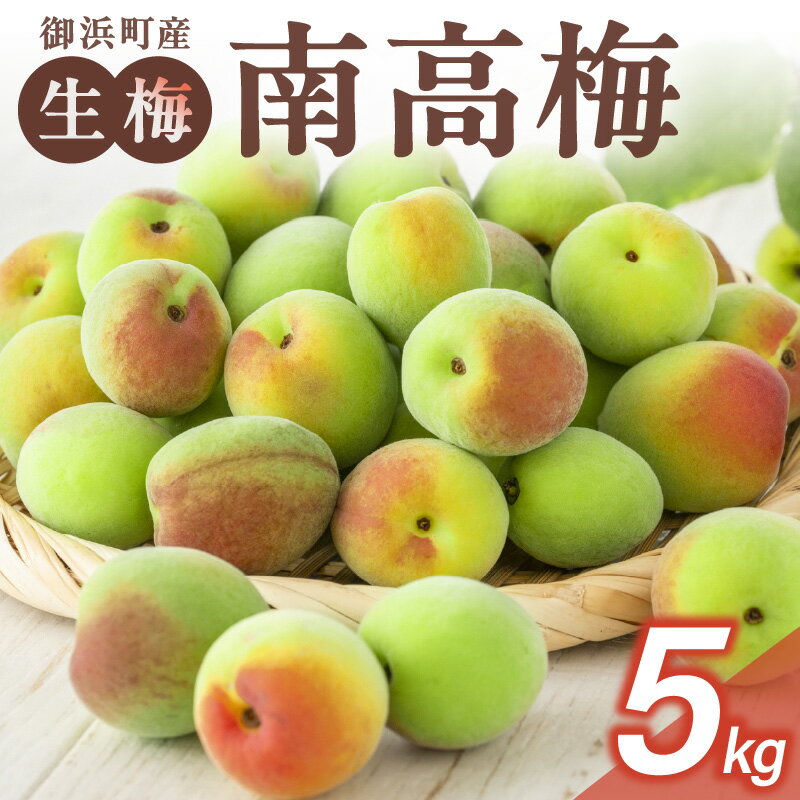 【ふるさと納税】【期間限定】和光工房 生梅 南高梅（生）5kg【生梅を使って自家製の漬物やお酒、シロップを作ってみませんか？】