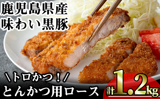 ＜内容量が選べる！＞かごしま味わい黒豚 とんかつ用ロース【トロかつ】 (計1.2kg・200g×6枚) 鹿児島県産 豚肉 黒豚 【KNOT】 A559