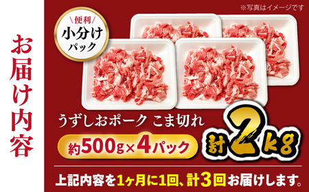 3回定期便 長崎うずしおポーク こま切れ 計2kg（500g×4P）CAG315 こま切れ 訳あり