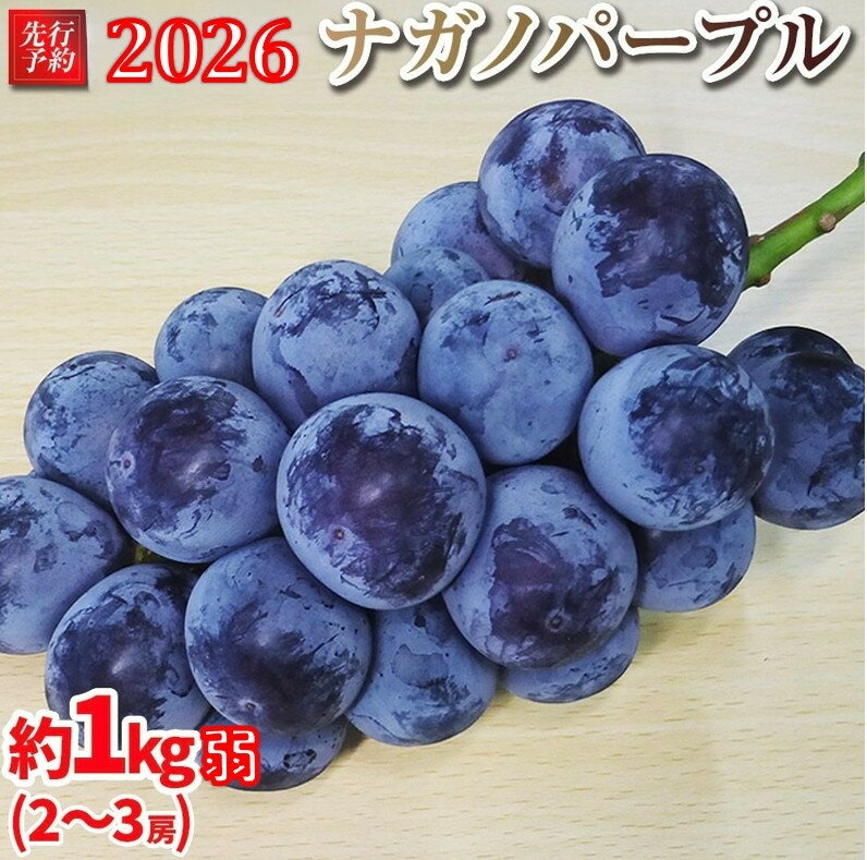 【ふるさと納税】【先行予約】2026　ナガノパープル　2房～3房　約1キロ弱　長野県産 【2026年9月下旬頃～順次発送予定】国際特許有機肥料栽培 | 果物 ぶどう フルーツ ブドウ ナガノパープル 高糖度 種なし ふるさと納税 長野県 大町市