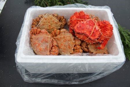 【北海道根室産】クリガニ8～9尾(計2kg前後)、花咲ガニ1尾 A-57045