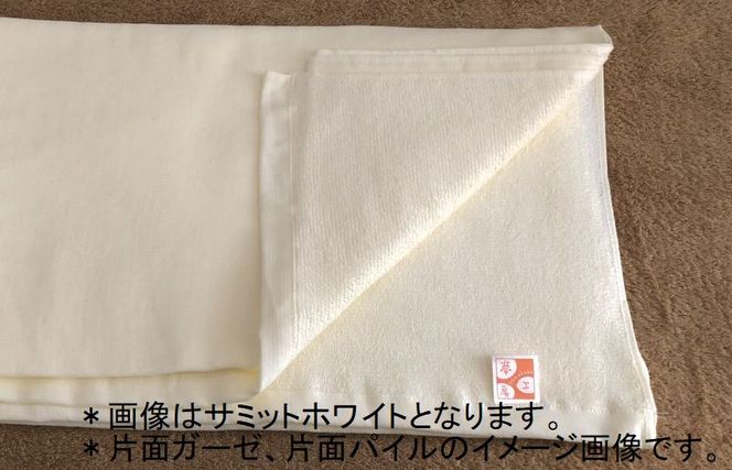 90×210超大判裏ガーゼバスタオル２枚セット（シュアラインベージュ）泉州タオル【泉州タオル 国産 吸水 普段使い 無地 シンプル 日用品 家族 ファミリー】 099H3656