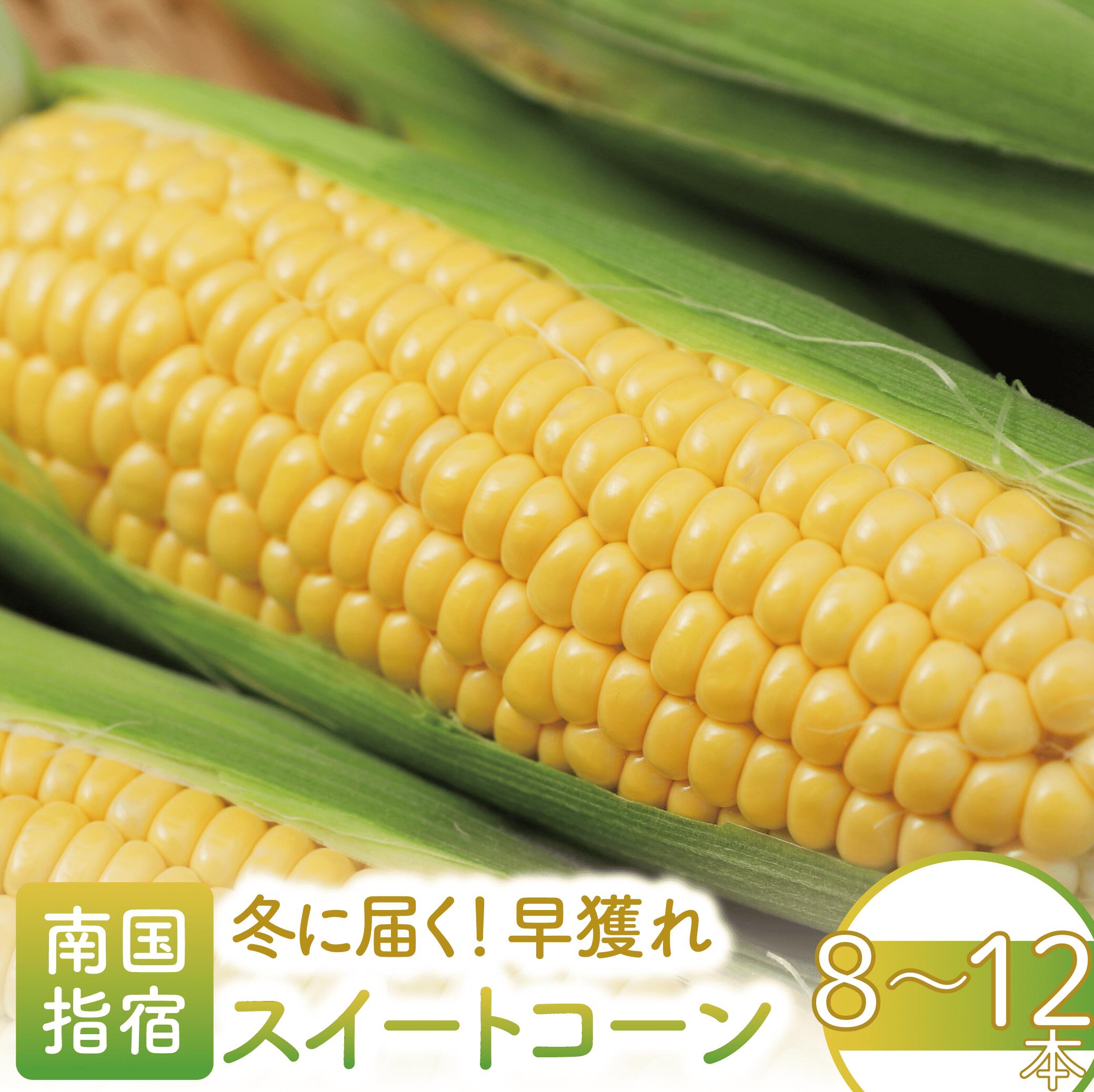 【ふるさと納税】＜期間限定！2025年12月～発送＞早獲れスイートコーン(8～12本)トウモロコシ とうもろこし コーン スイートコーン サニーショコラ 早獲れ 野菜 ハウス ハウス栽培 有機 オーガニック 国産 鹿児島県産【田中園芸】