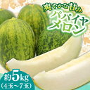 【ふるさと納税】【いくらでも食べたくなるさっぱりとした甘さ！】南島原名産 パパイヤメロン 約5kg 4玉～7玉 / 南島原市 / 贅沢宝庫[SDZ034]