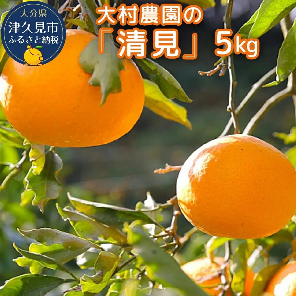 【先行予約】大村農園 みかん 清見 5kg | みかん 津久見市