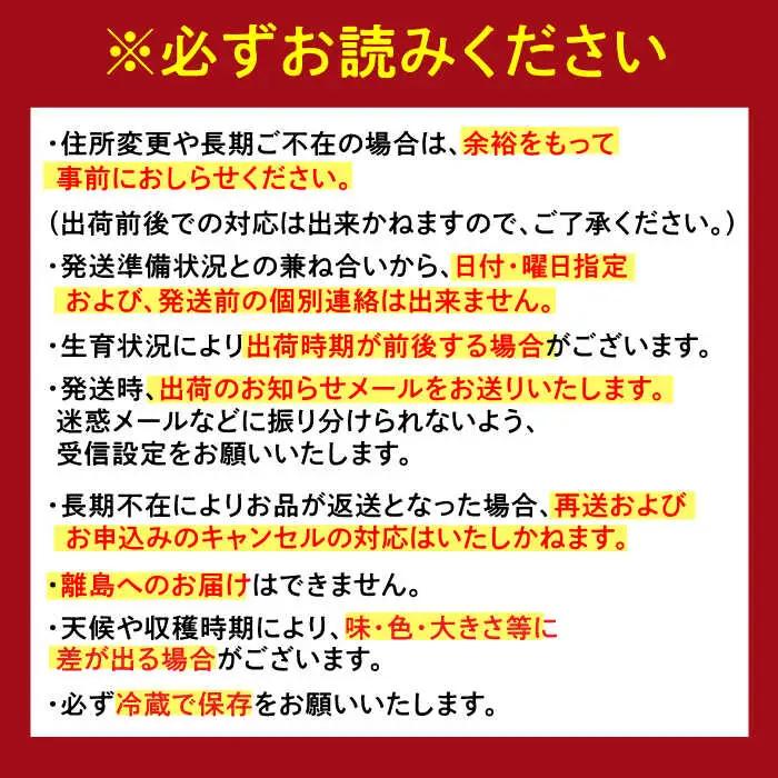 【2027年発送分 先行予約】【全6回定期便】佐賀県の生産者を応援！いちごと牛肉定期便 / いちご 牛肉 / 佐賀県ふるさと納税 [41AAZZ007]