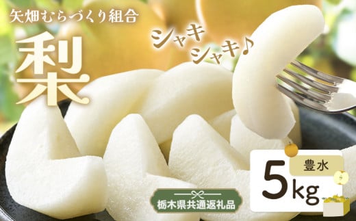 N03 梨 なし 豊水 5kg フルーツ 先行予約 矢畑むらづくり組合《8月下旬-9月中旬頃出荷》 栃木県【栃木県共通返礼品　栃木県産】【配送不可地域あり】(離島)