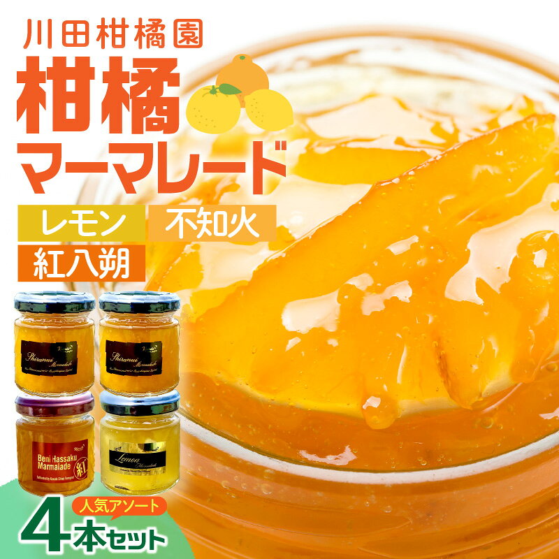 【ふるさと納税】島の恵み 瀬戸内 柑橘 マーマレード 4本 セット 食べ比べ セット 紅八朔 レモン しらぬい ジャム 詰め合わせ シトラス みかん お取り寄せグルメ 国産 産地直送 送料無料 広島県 呉市
