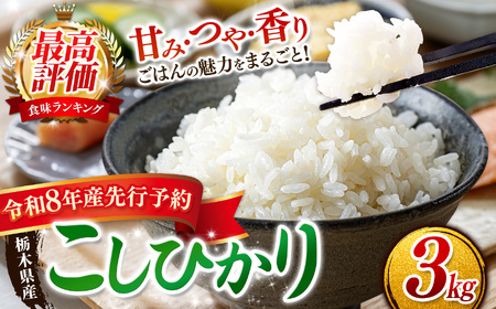 【2026年先行予約】ごはんが主役！矢板市産こしひかり 白米 3kg お米 栃木県 矢板市