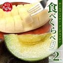 【ふるさと納税】【先行予約】 熊本県産 ホームランメロン アンデスメロン 食べ比べ 総合計 約2.5kg以上 計2玉 メロン 果物 フルーツ 甘い ジューシー 糖度14度以上 さわやかな甘さ 送料無料 【2025年4月中旬発送開始】