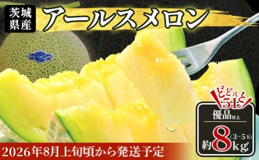 490 アールスメロン 3~5玉 約8kg 優品以上 高級 茨城 JA水戸産
