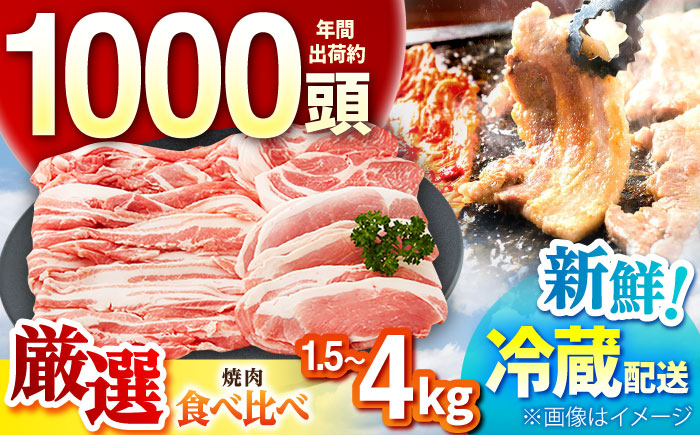 
            【選べる容量】　ええやんさくらポーク  小林ファーム 豚肉 焼肉 セット / 食べ比べ 豚肉 三元豚 肩ロース バラ モモ スライス 豚バラ 豚肉 ウデ ぶたにく 豚スライス BBQ 焼き肉 焼きそば / 亀山市/小林ファーム[AMAB061]
          