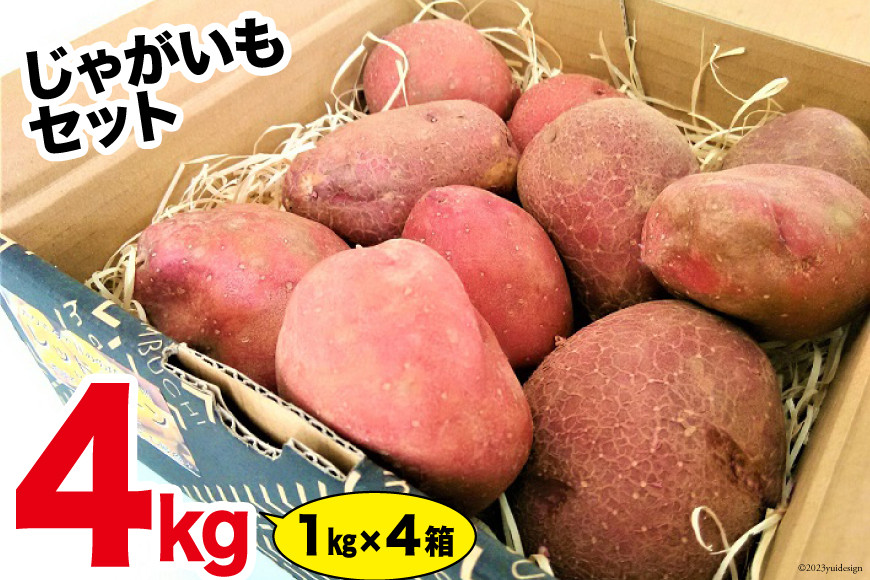 カラフルじゃがいもセット [ＶＩＶＡマルシェ 北海道 剣淵町 14656240] 野菜 国産 ジャガイモ じゃが芋