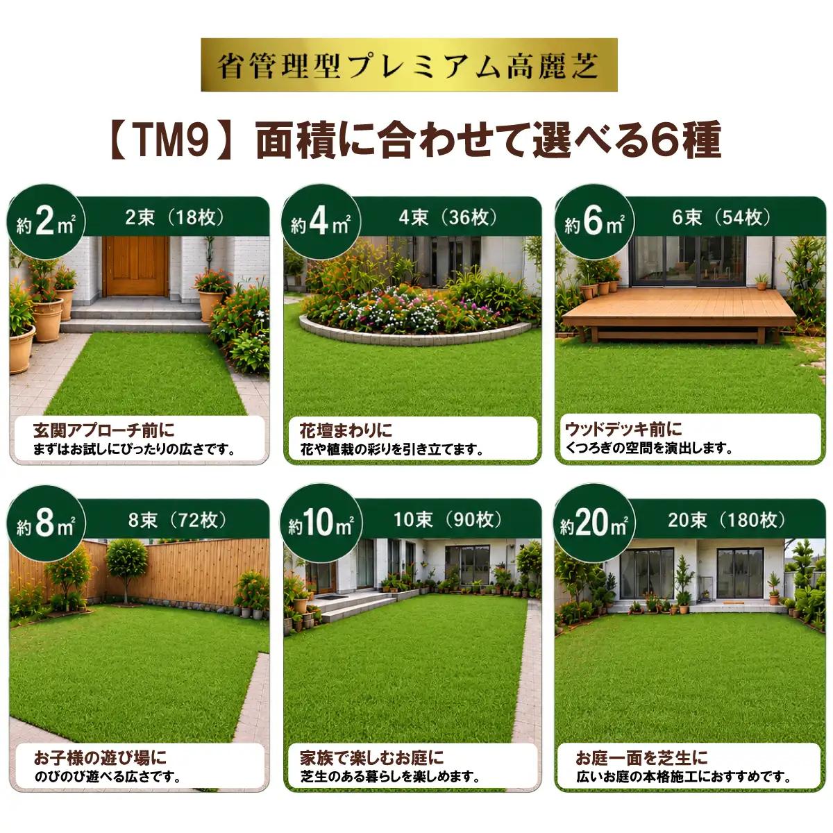 【先行予約】4㎡分 省管理型プレミアム高麗芝 「TM9（芝生）」コウライシバ ティーエムナイン 【2027年3月下旬頃から出荷予定】