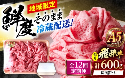 【12回定期便】 ※冷蔵配送/地域限定※ 飛騨牛 切落し (ロースまたは肩ロース) 600g 瑞浪市 / きなぁた瑞浪 和牛 国産 岐阜県産 [AZCI079]