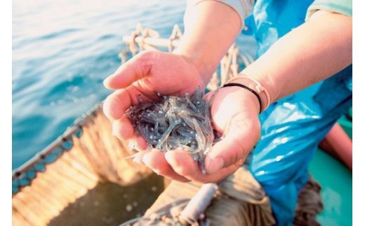 【食べるJAPAN美味アワード2021認定商品】福島さんの釜あげしらす（個包装タイプ） IKTB018 