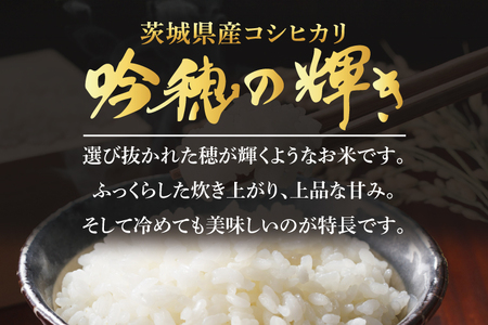 ＜令和７年産＞ 新米 コシヒカリ 6kg 2kg×3袋 精米 こしひかり 米 ごはん コメ お米 白米 国産 茨城県産_AR015