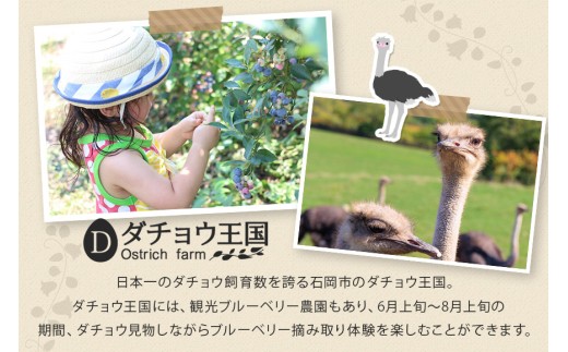 冷凍 ブルーベリー  普通1kg ダチョウ王国産 ( 1kg 1パック ) 完熟 1キロ 果物 フルーツ 国産 産地直送 農家直送 産直 くだもの スムージー ジャム ヨーグルト デザート 茨城 茨城