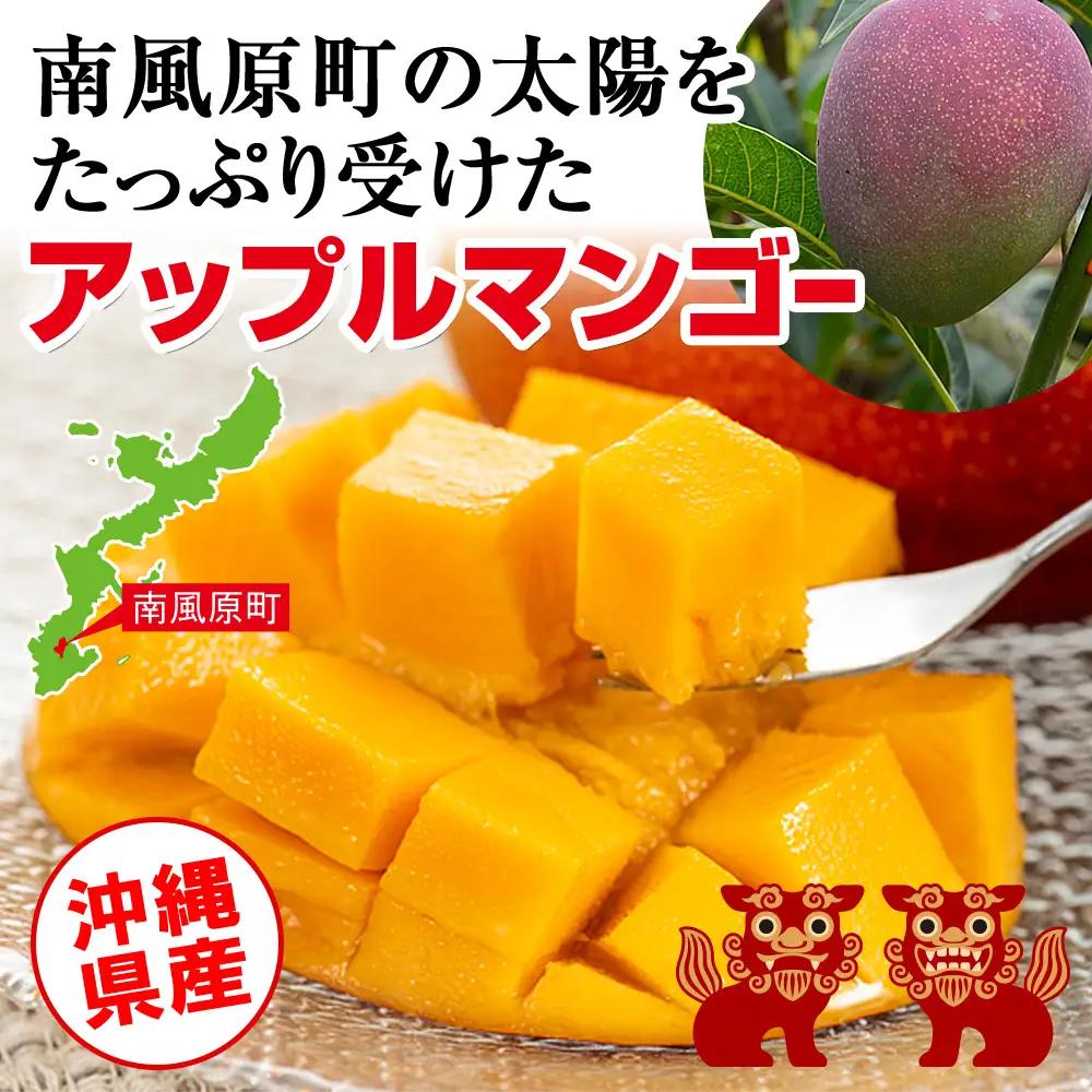【2027年発送】濃厚な甘さ！とろける食感！沖縄県産マンゴー1kg