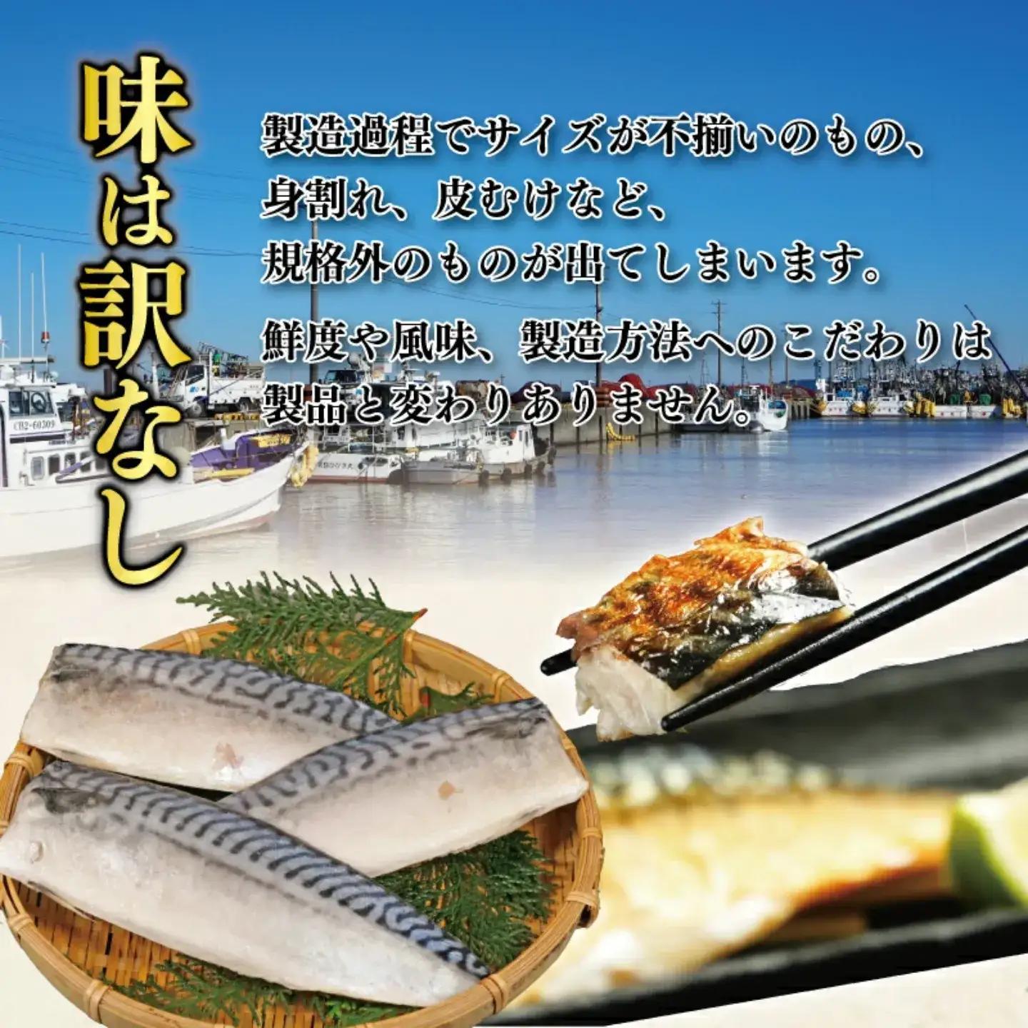 訳あり 塩鯖 500g 鯖