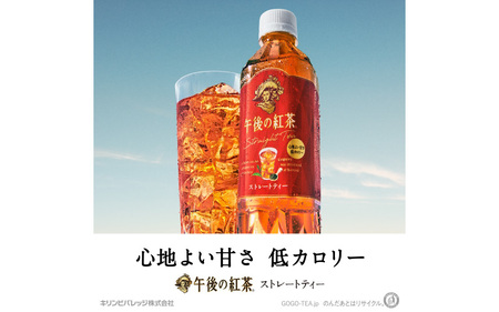 【定期便3回】キリン 午後の紅茶 ストレートティー 500ml × 24本 3ヶ月