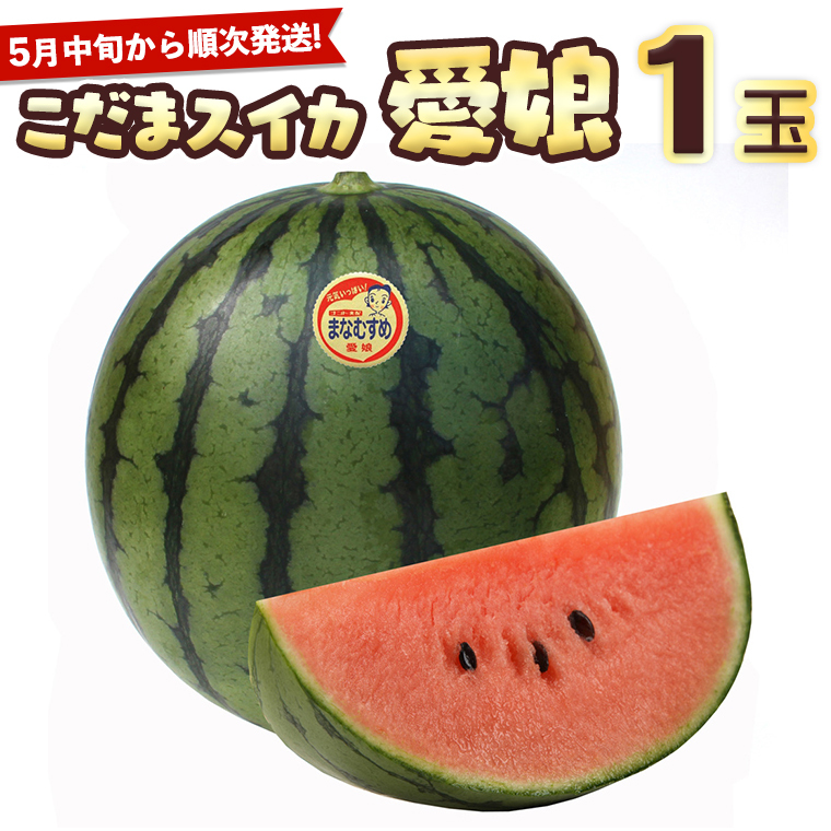 こだまスイカ　愛娘（１玉） 【2026年5月中旬より発送開始】 際まで甘いこだまスイカ すいか スイカ 西瓜 甘い [BC031sa]