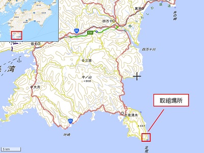 【記念苗木付き】足摺ヤブ椿再生プロジェクトへの支援・応援　自然保護 椿【R00080】